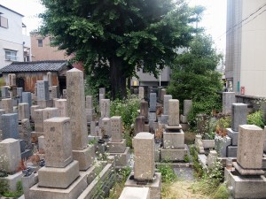 大阪市東成区にあるお墓、中道墓地