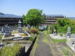 道祖本墓地（茨木市）