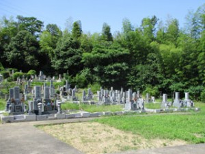桜井台墓地 （三島郡）