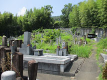 三島郡にあるお墓、山崎谷墓地
