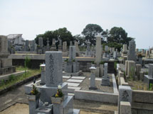 和泉市にあるお墓、唐国町墓地