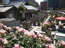 大阪市天王寺区にあるお墓、浄国寺墓地