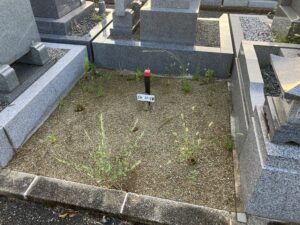 泉佐野公園墓地 令和7年 秋季募集