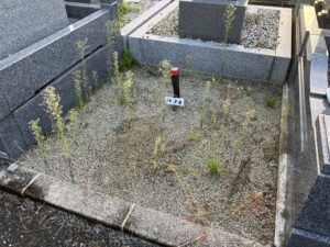 泉佐野公園墓地 令和7年 秋季募集