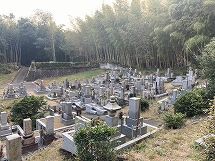 三島郡のお墓　桜井墓地