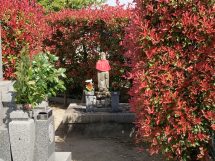 摂津市にあるお墓、鳥飼下共同墓地